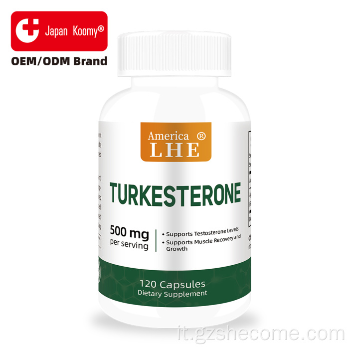 Supporto per il turkesterone Capsule di turkesterone per il recupero degli esercizi